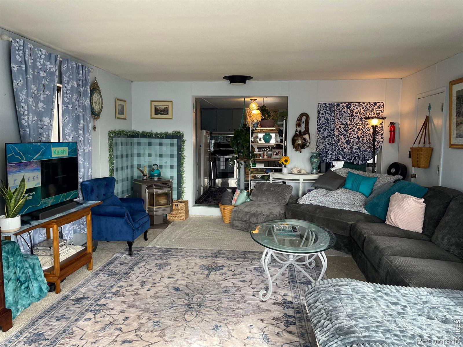 MLS Image #29 for 123  tahlequah way,red feather lakes, Colorado