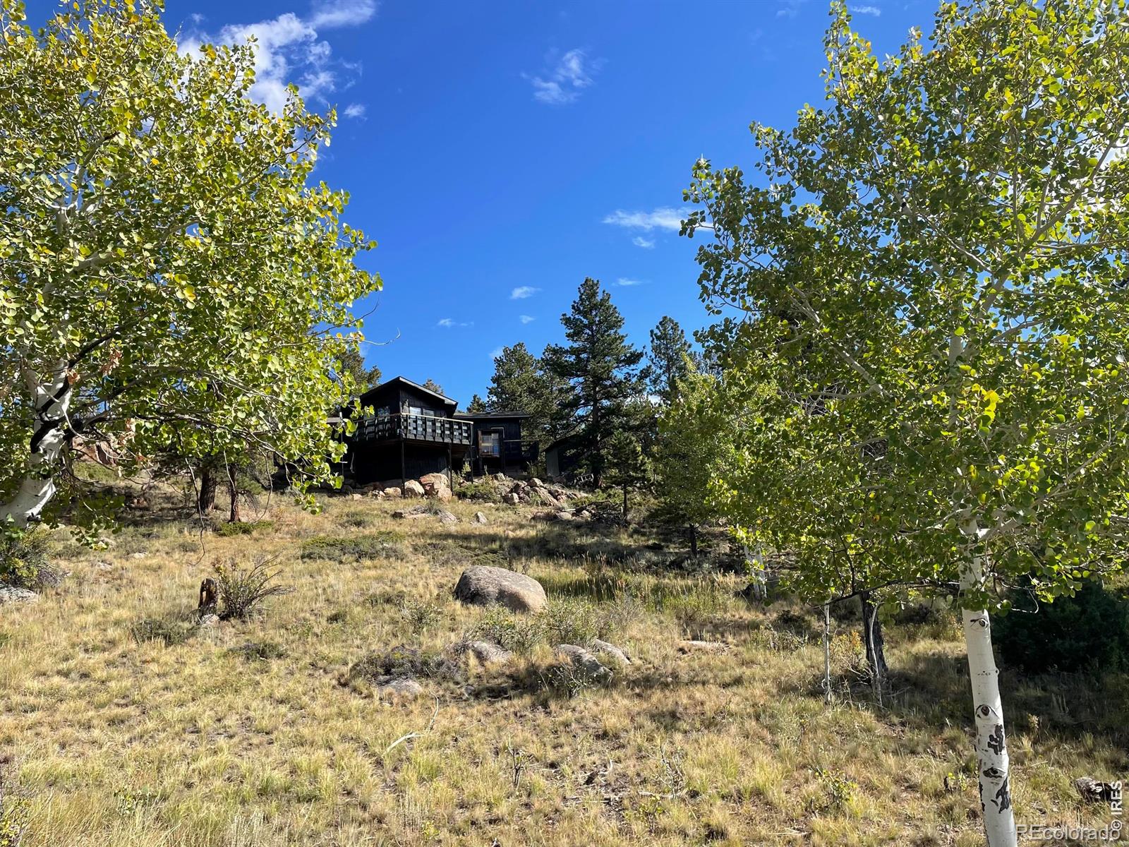 MLS Image #3 for 123  tahlequah way,red feather lakes, Colorado