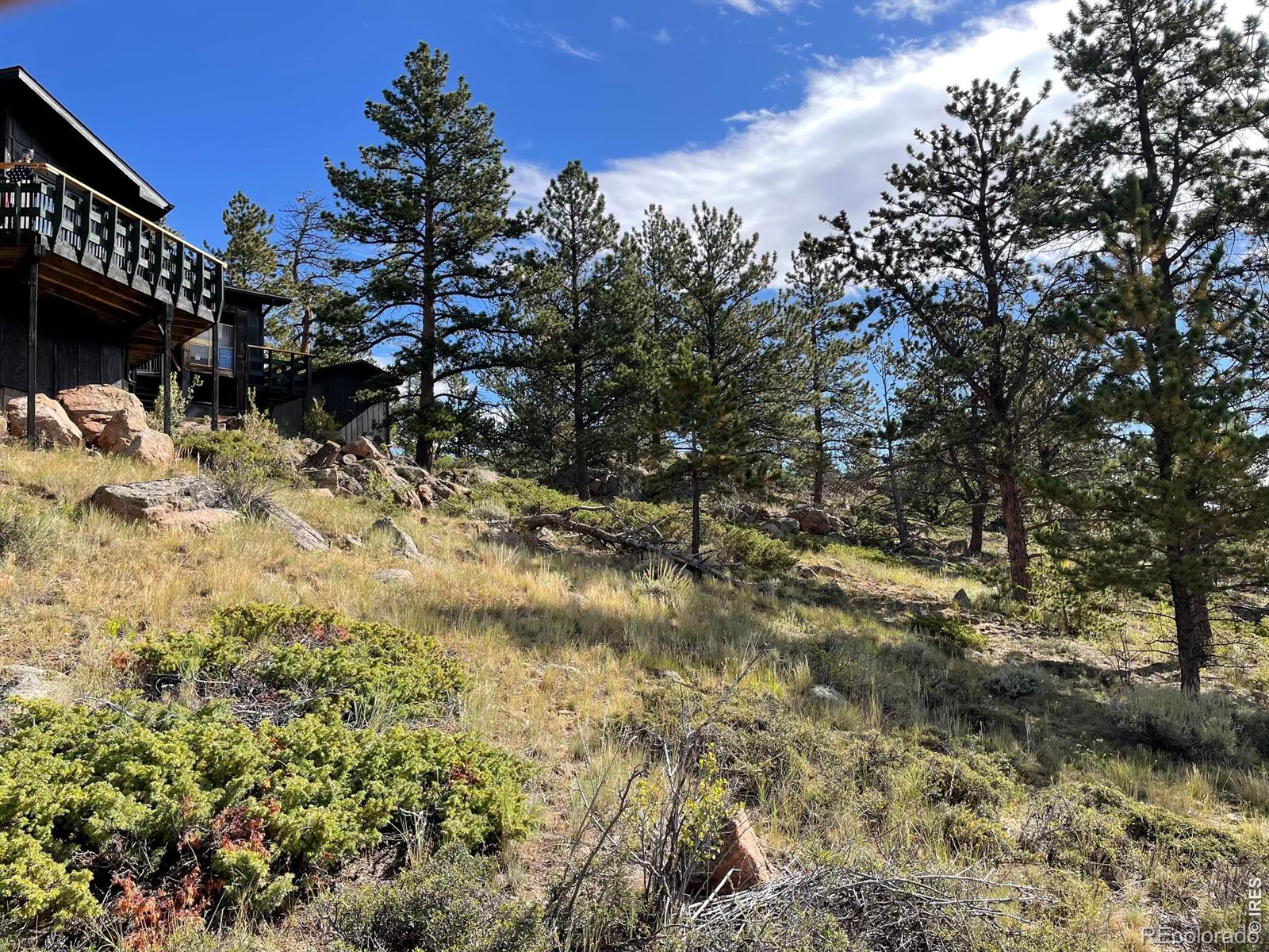 MLS Image #5 for 123  tahlequah way,red feather lakes, Colorado