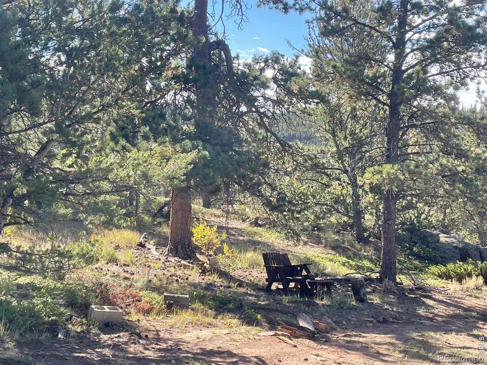 MLS Image #7 for 123  tahlequah way,red feather lakes, Colorado