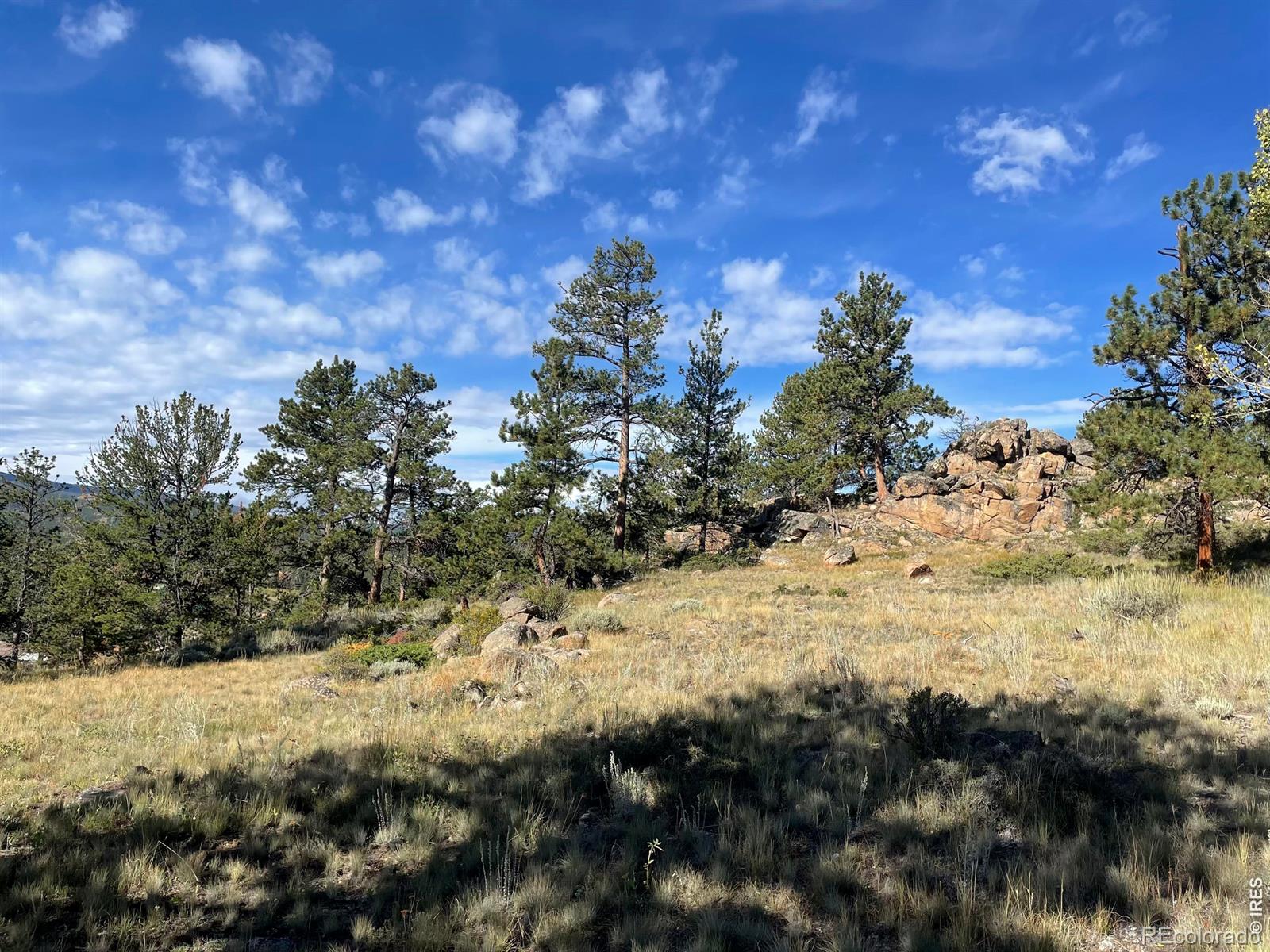 MLS Image #8 for 123  tahlequah way,red feather lakes, Colorado