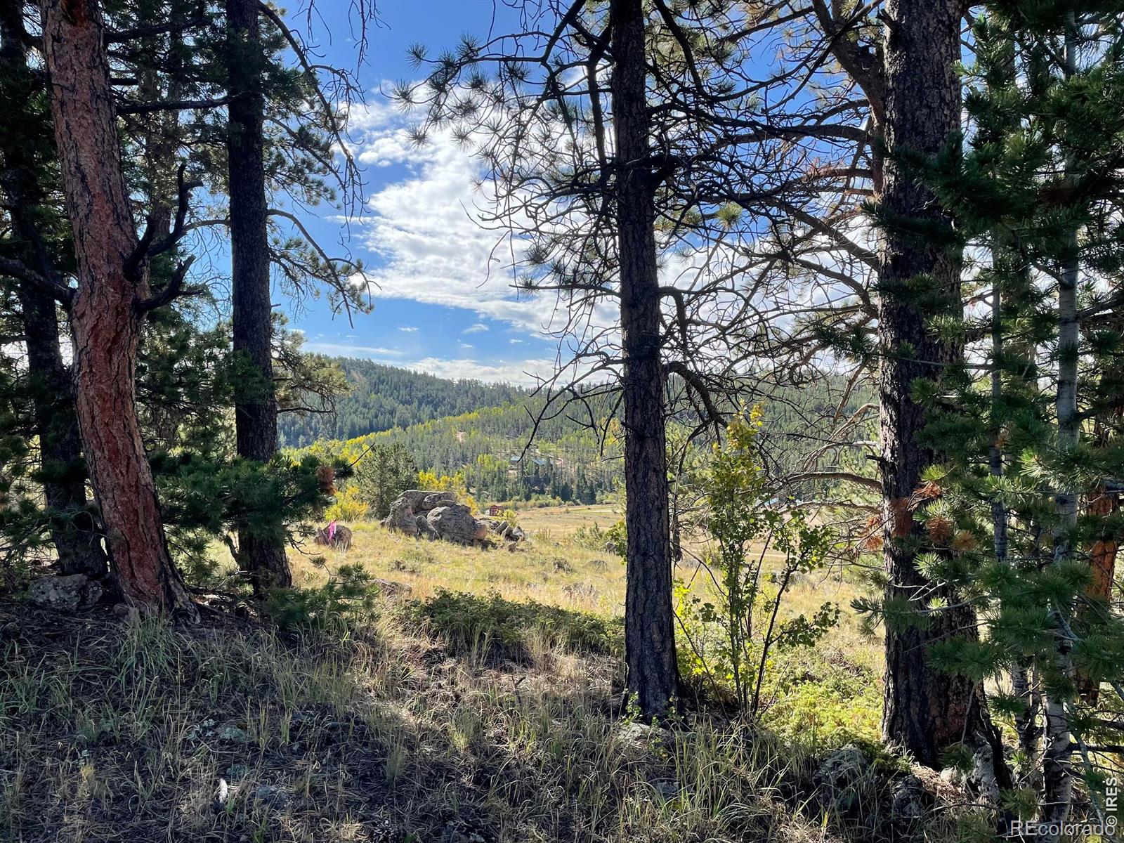 MLS Image #9 for 123  tahlequah way,red feather lakes, Colorado