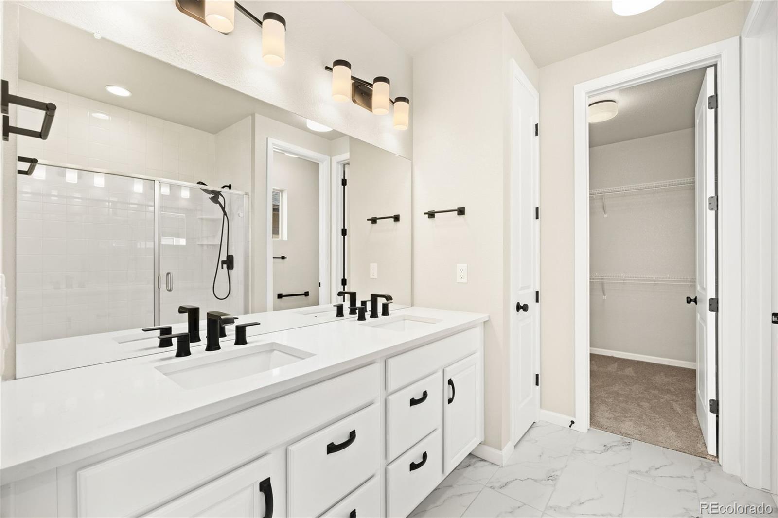MLS Image #12 for 6669  zebra grass lane,parker, Colorado