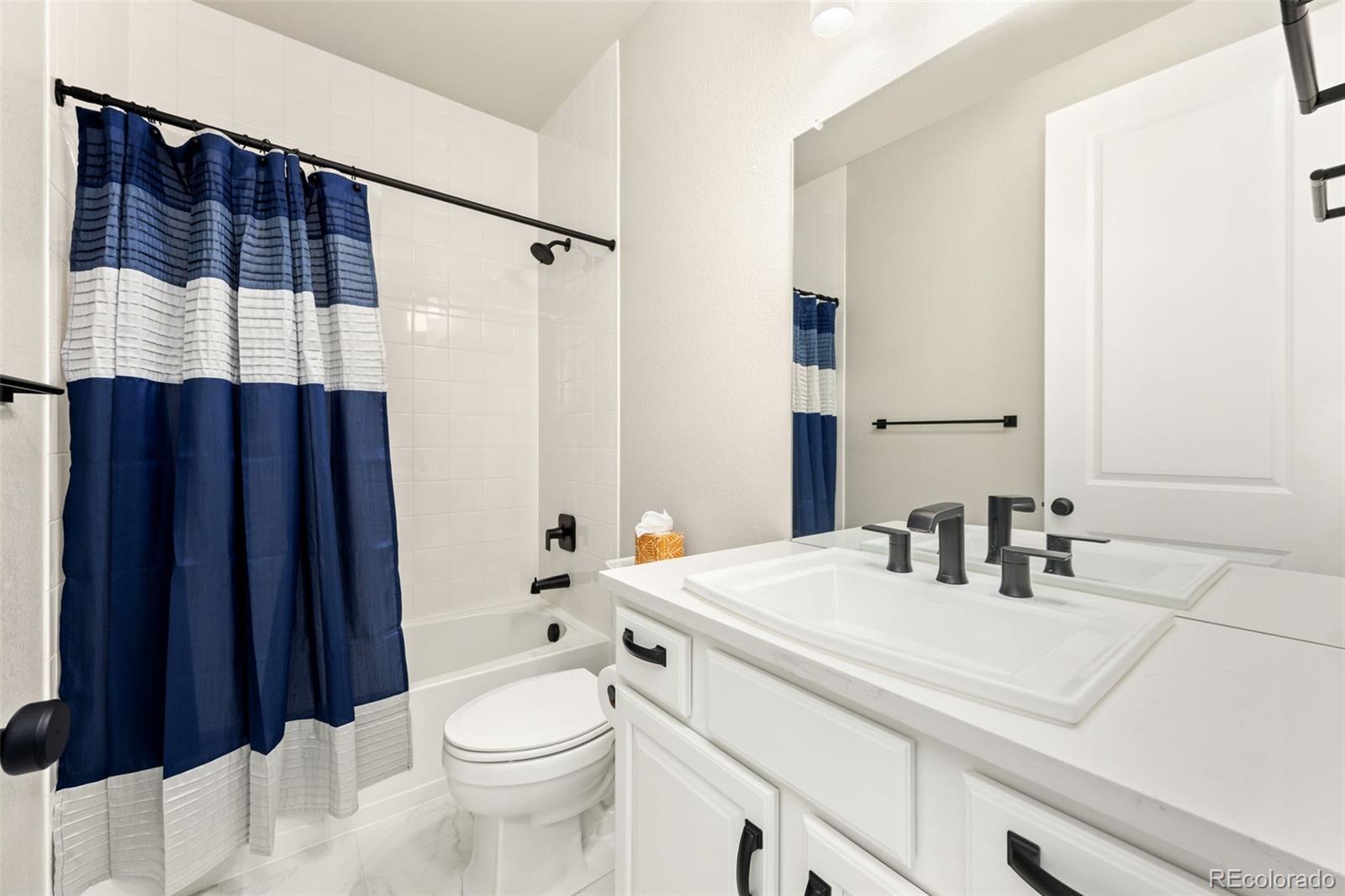 MLS Image #14 for 6669  zebra grass lane,parker, Colorado