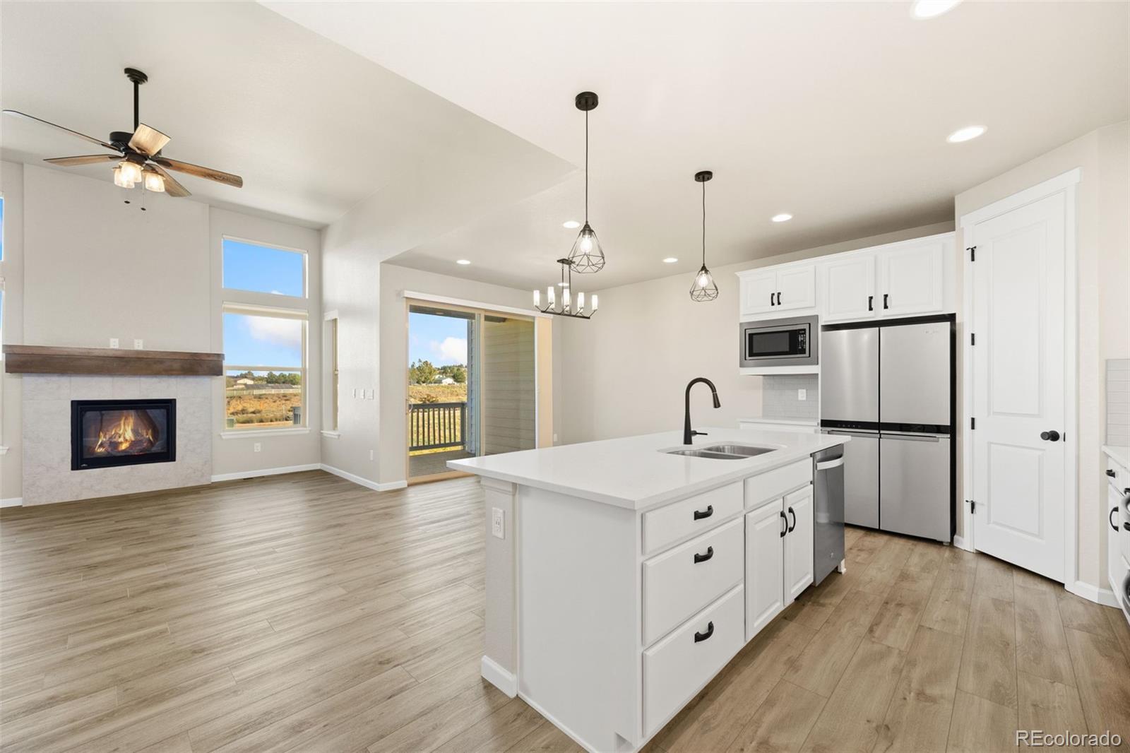 MLS Image #4 for 6669  zebra grass lane,parker, Colorado