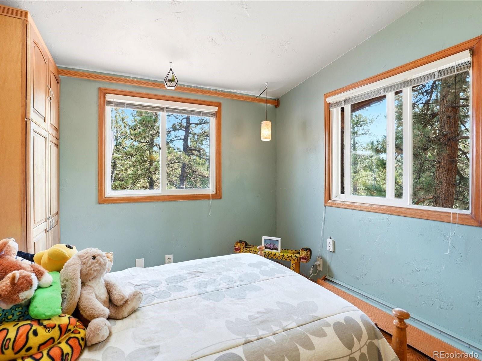 MLS Image #21 for 21191  pleasant park road,conifer, Colorado