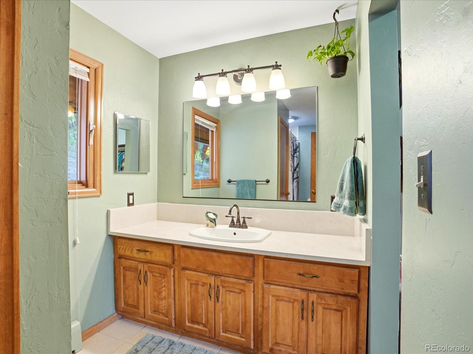 MLS Image #23 for 21191  pleasant park road,conifer, Colorado