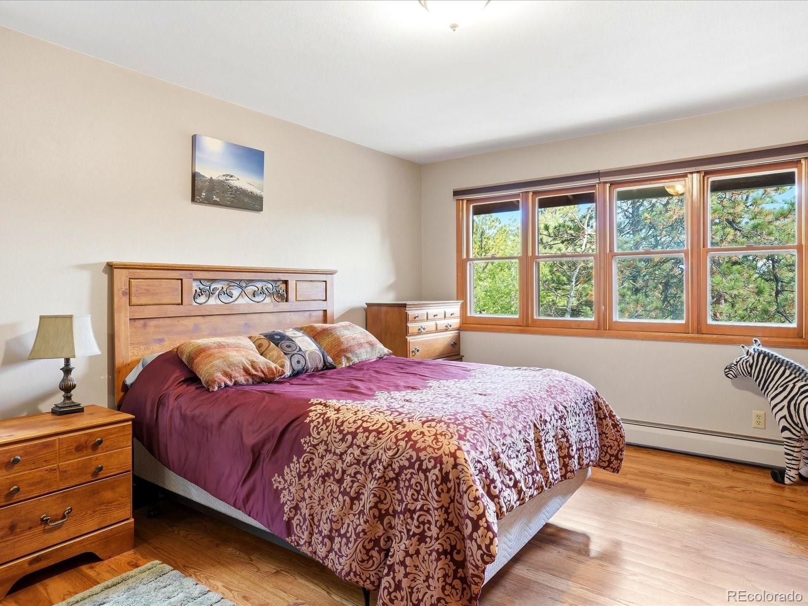 MLS Image #24 for 21191  pleasant park road,conifer, Colorado