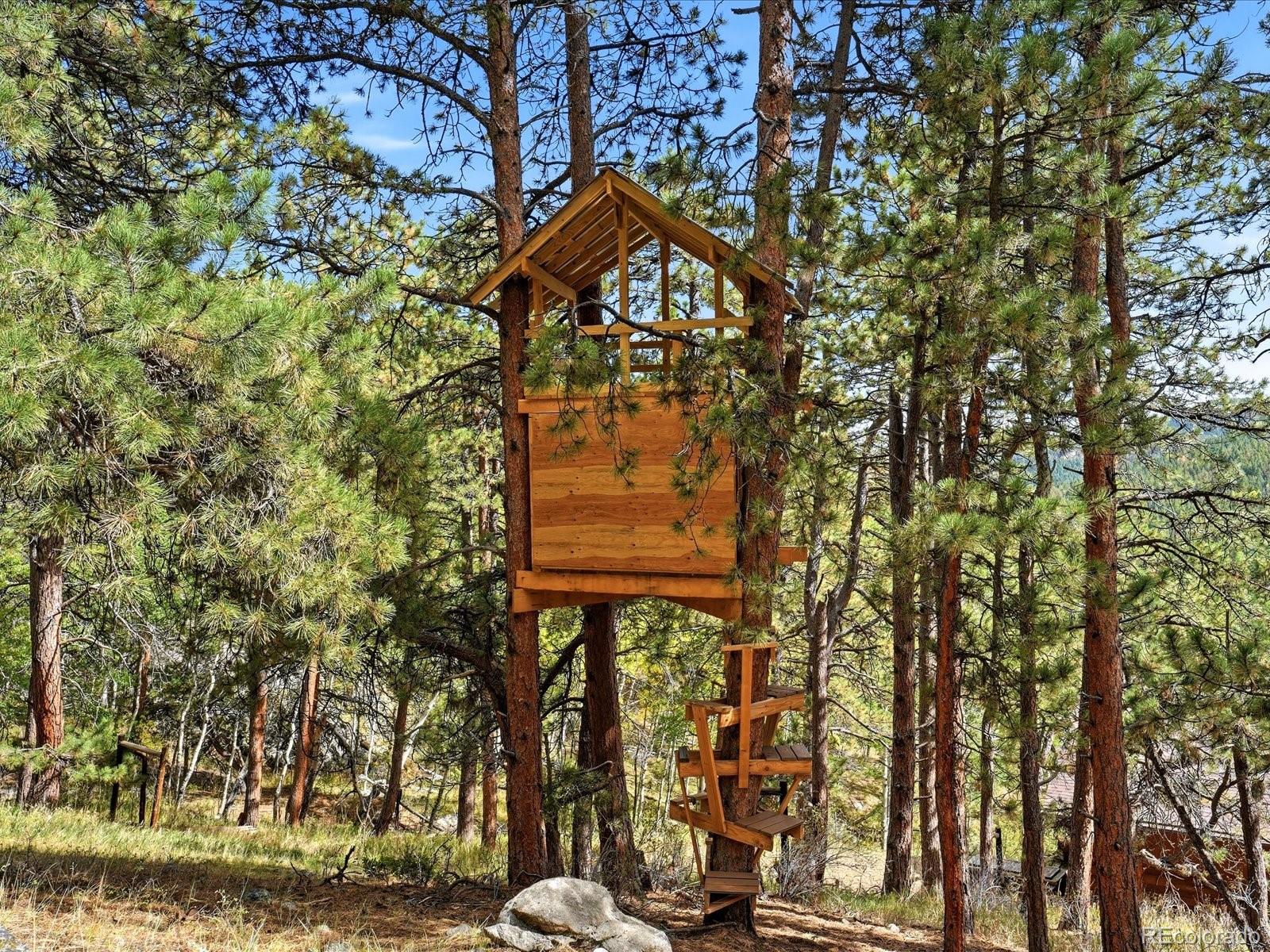 MLS Image #38 for 21191  pleasant park road,conifer, Colorado