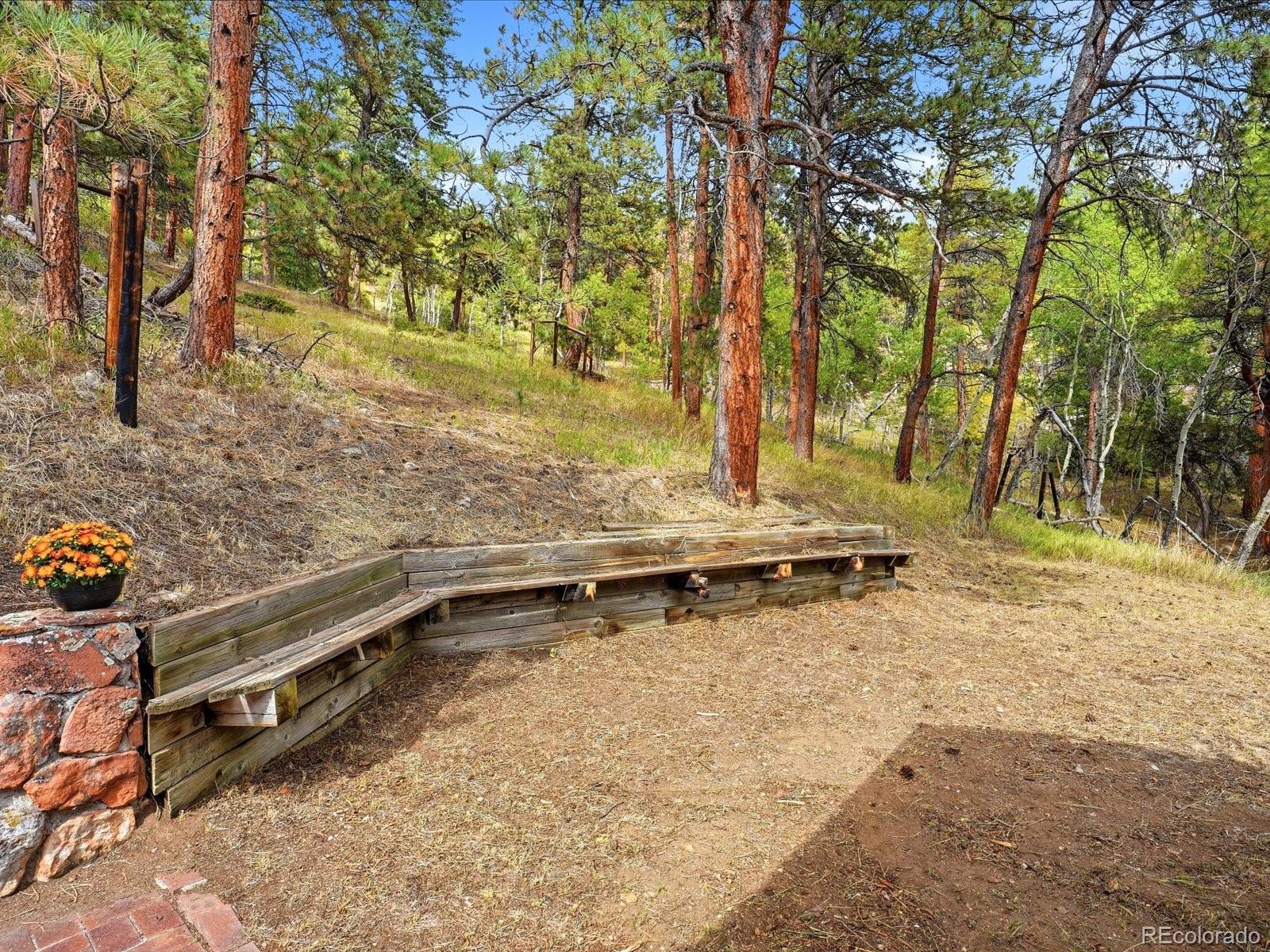 MLS Image #40 for 21191  pleasant park road,conifer, Colorado