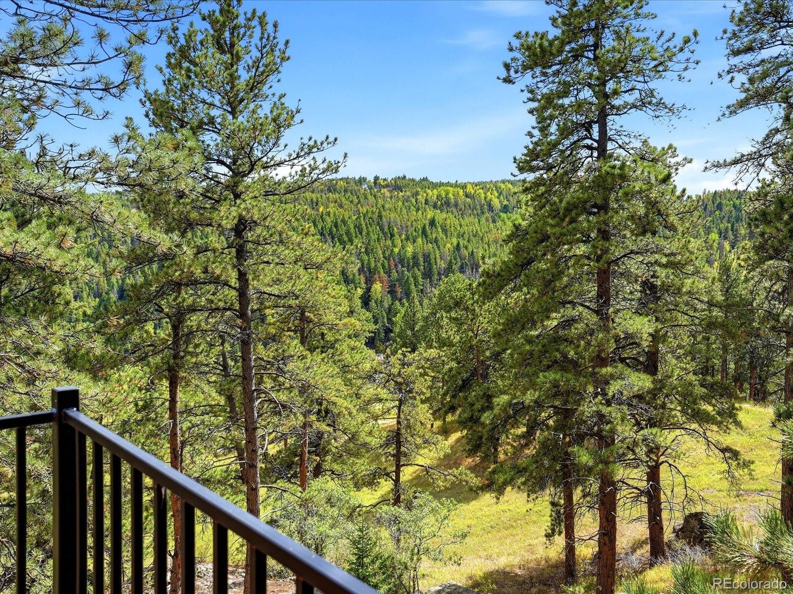 MLS Image #43 for 21191  pleasant park road,conifer, Colorado