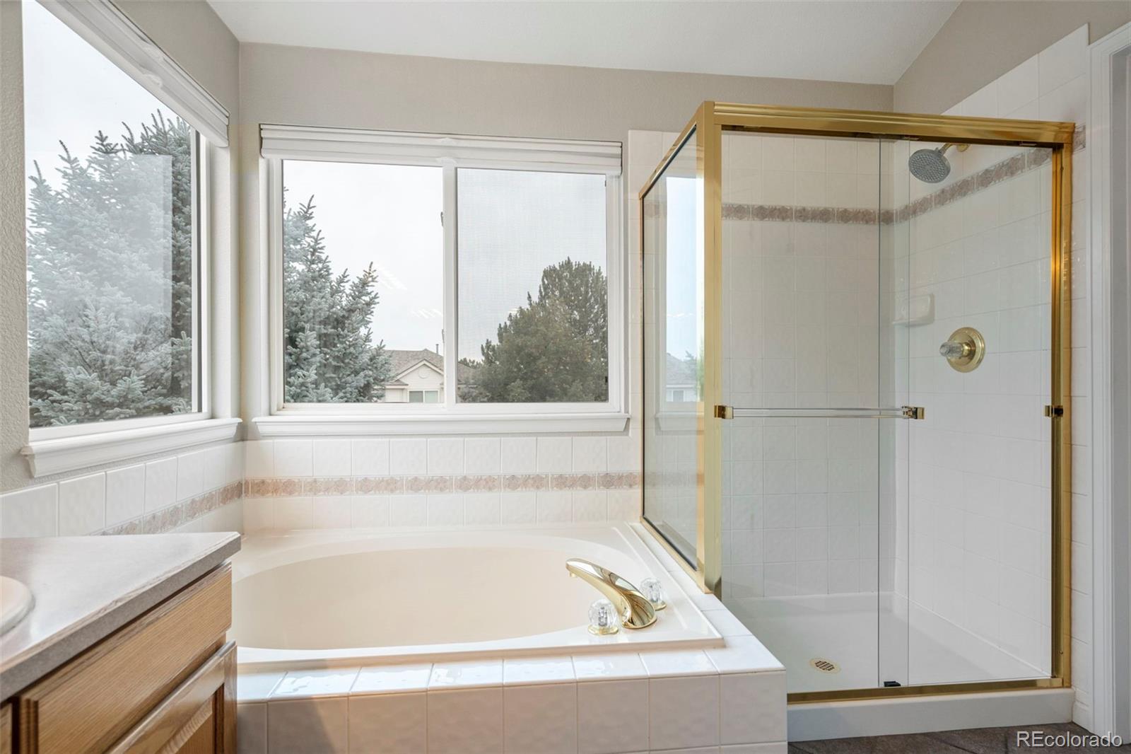 MLS Image #30 for 11119 w tennessee court,lakewood, Colorado