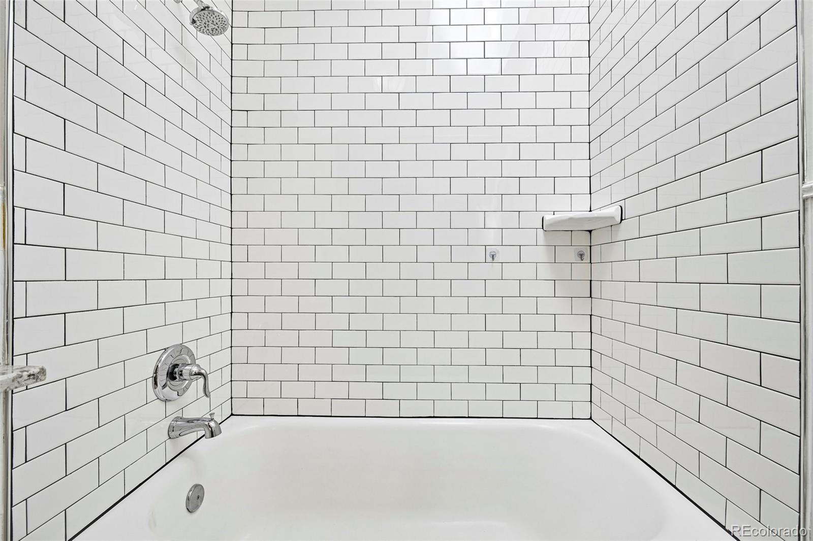 MLS Image #22 for 1655  gaylord street,denver, Colorado