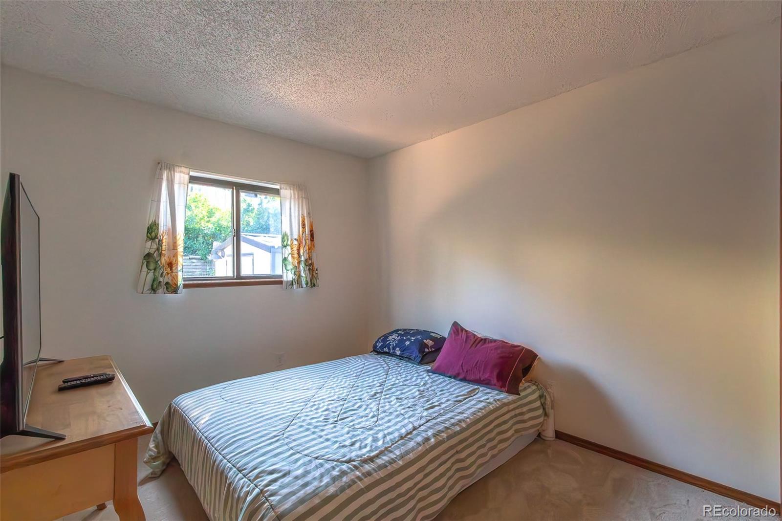 MLS Image #16 for 2633  manassas way,colorado springs, Colorado