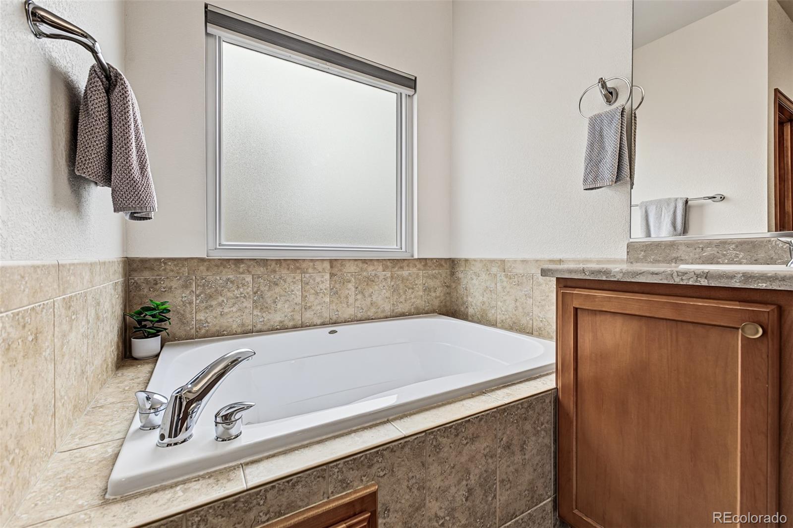 MLS Image #18 for 2587  terravita way,castle rock, Colorado