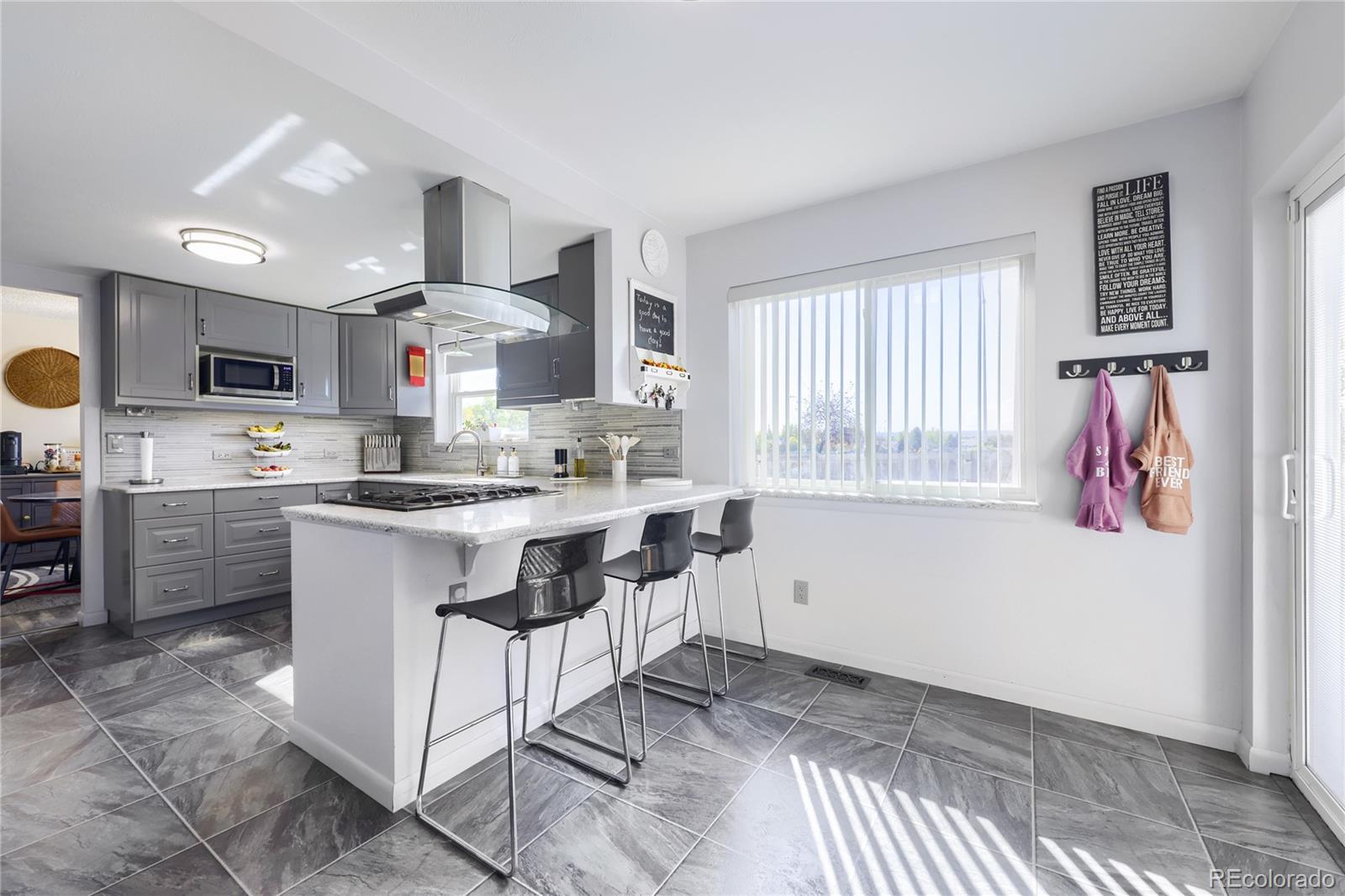 MLS Image #9 for 3440  princess court,broomfield, Colorado