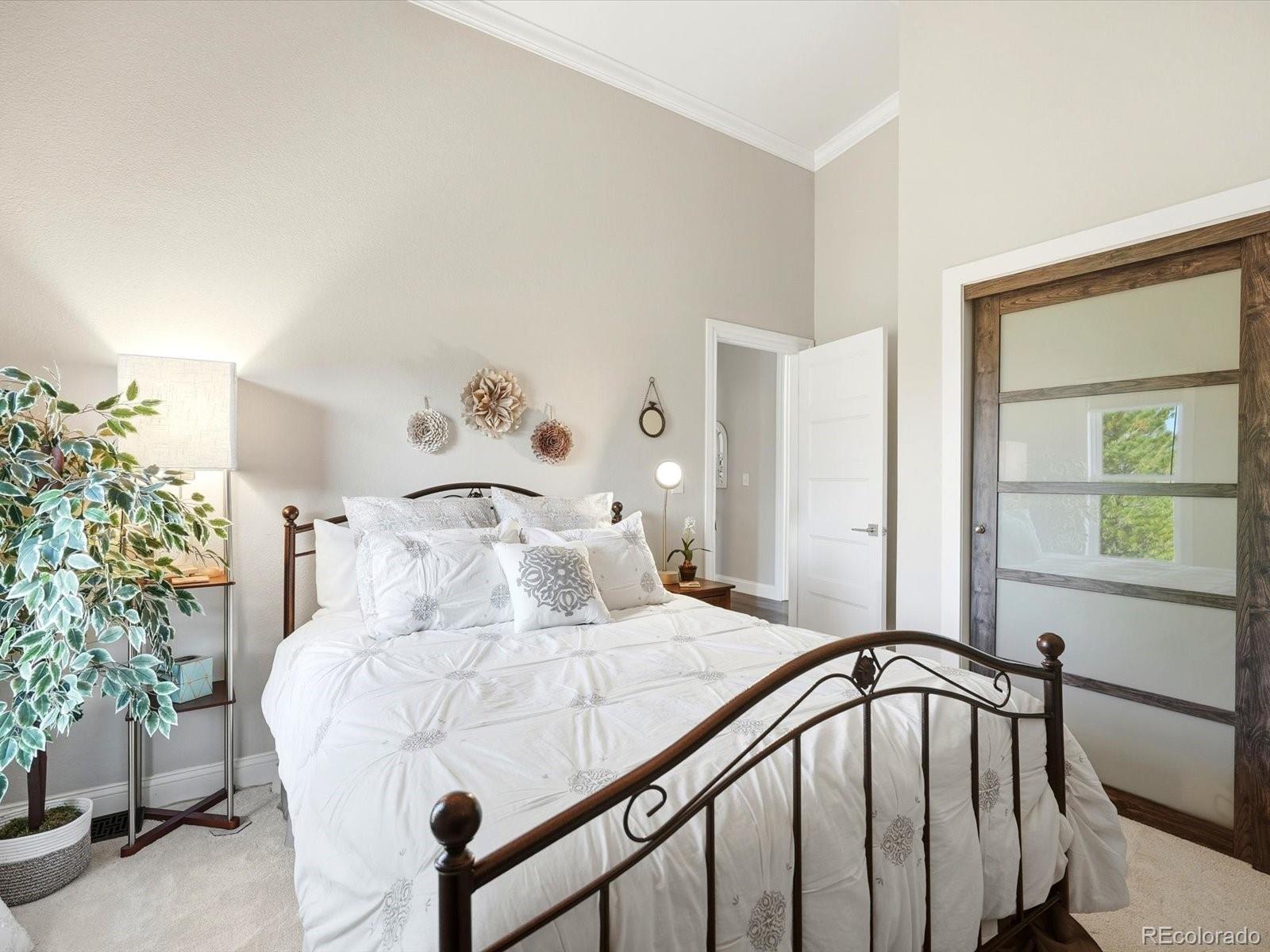 MLS Image #25 for 10769  cougar run,littleton, Colorado