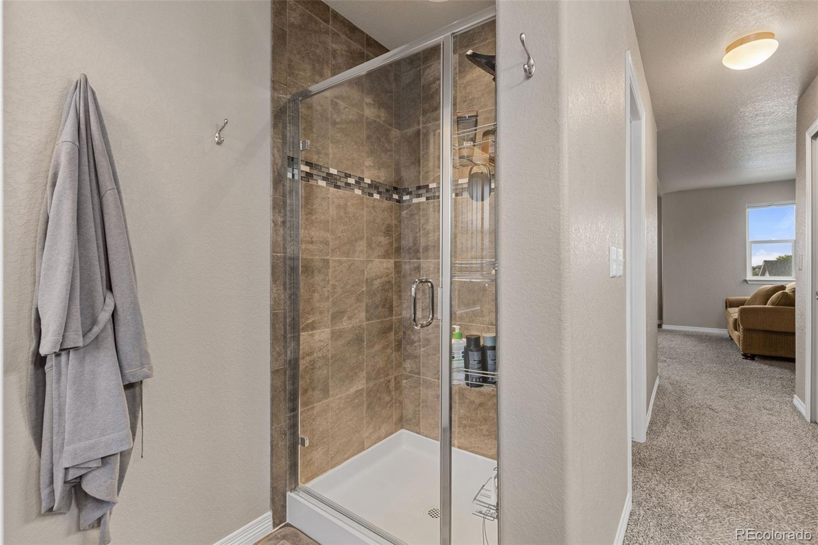 MLS Image #18 for 2431  nicholson street,berthoud, Colorado