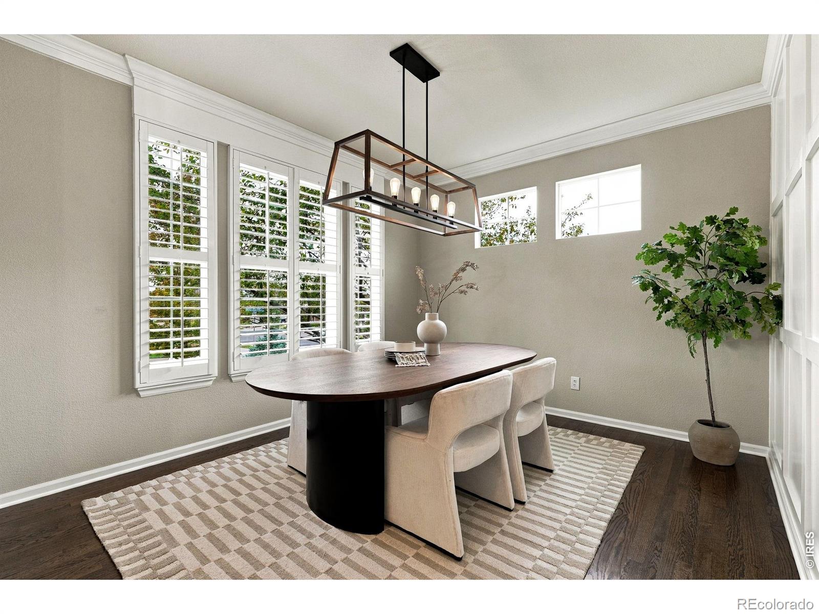 MLS Image #5 for 15036  silver feather circle,broomfield, Colorado