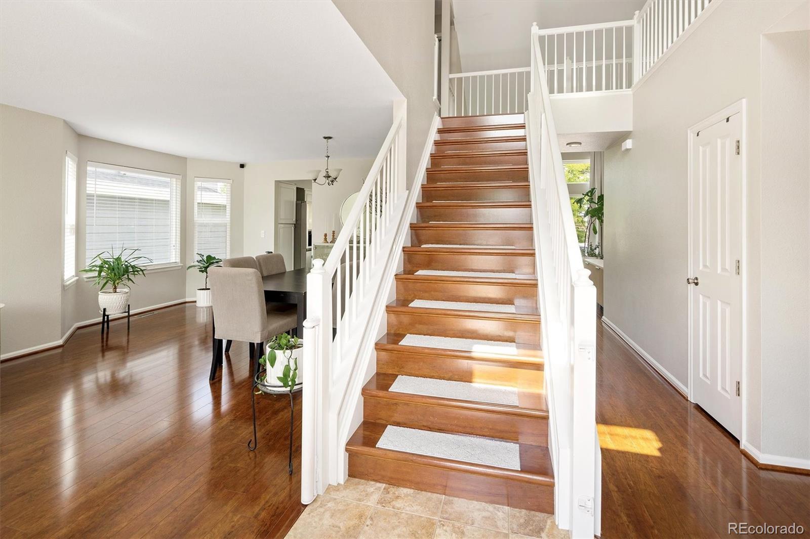MLS Image #3 for 809  redwood court,highlands ranch, Colorado