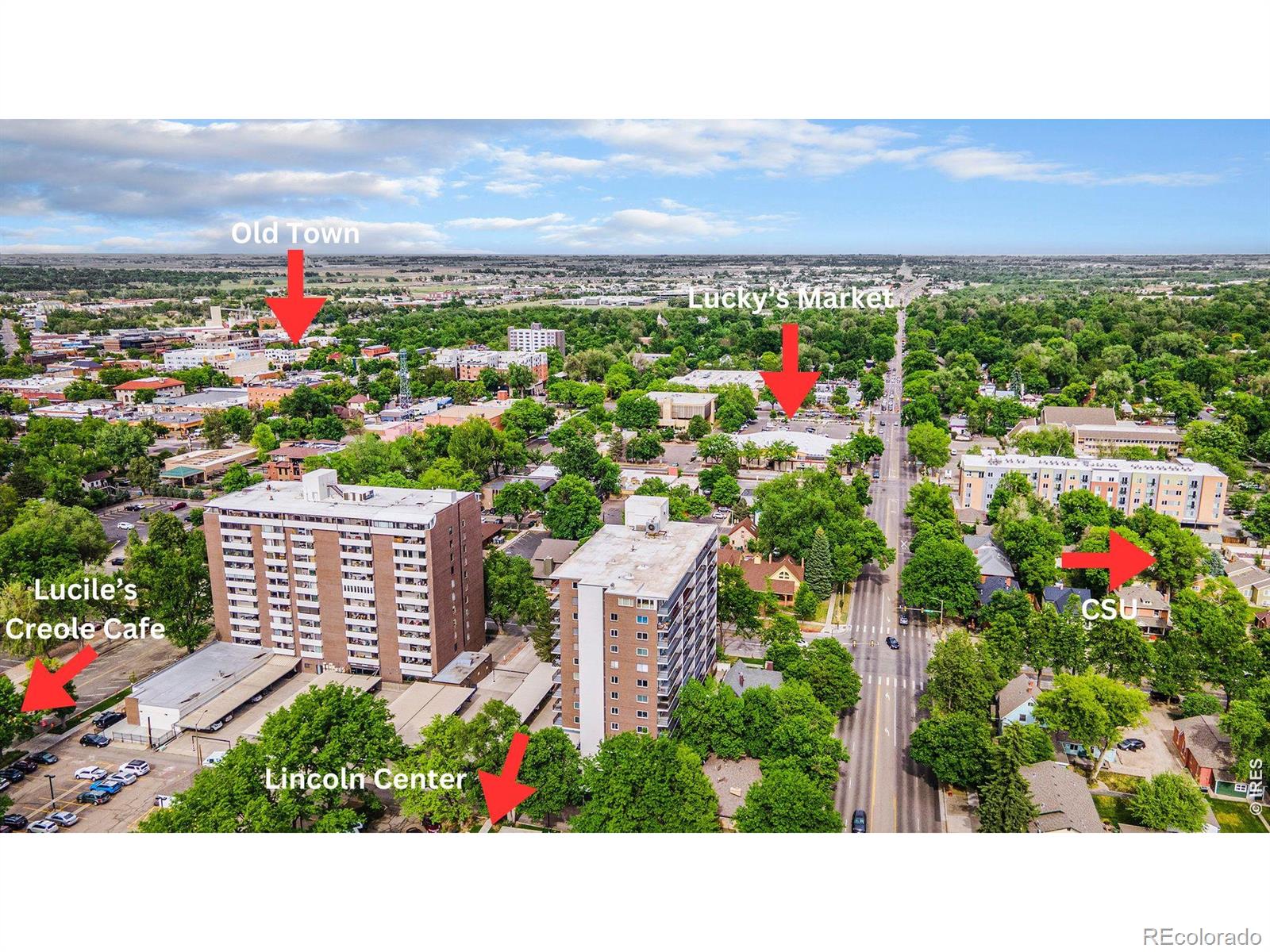MLS Image #42 for 421 s howes street,fort collins, Colorado