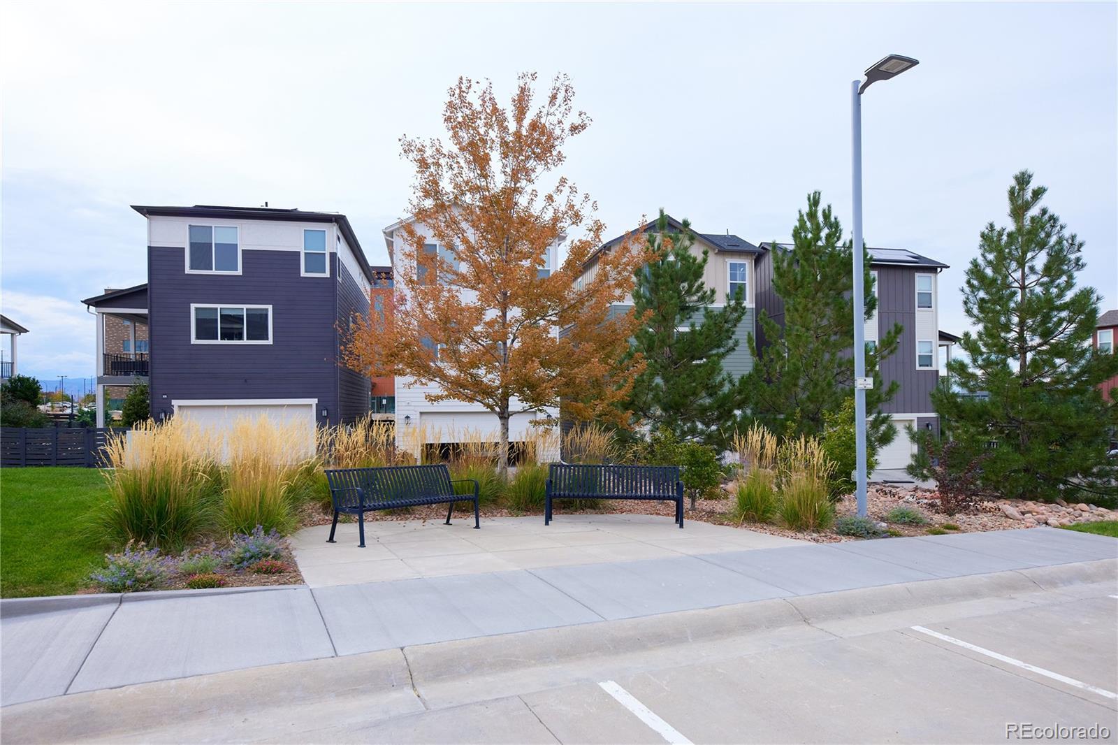 MLS Image #43 for 9025  southurst street,highlands ranch, Colorado