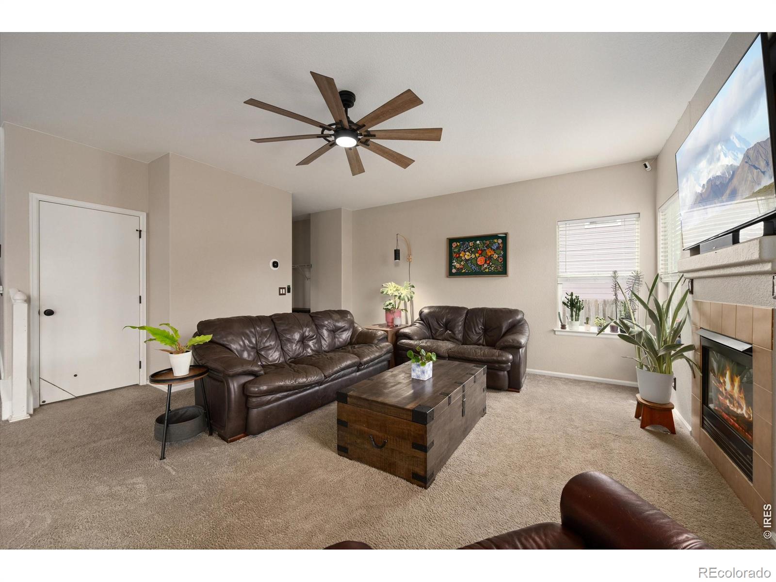 MLS Image #10 for 13993  jersey street,thornton, Colorado