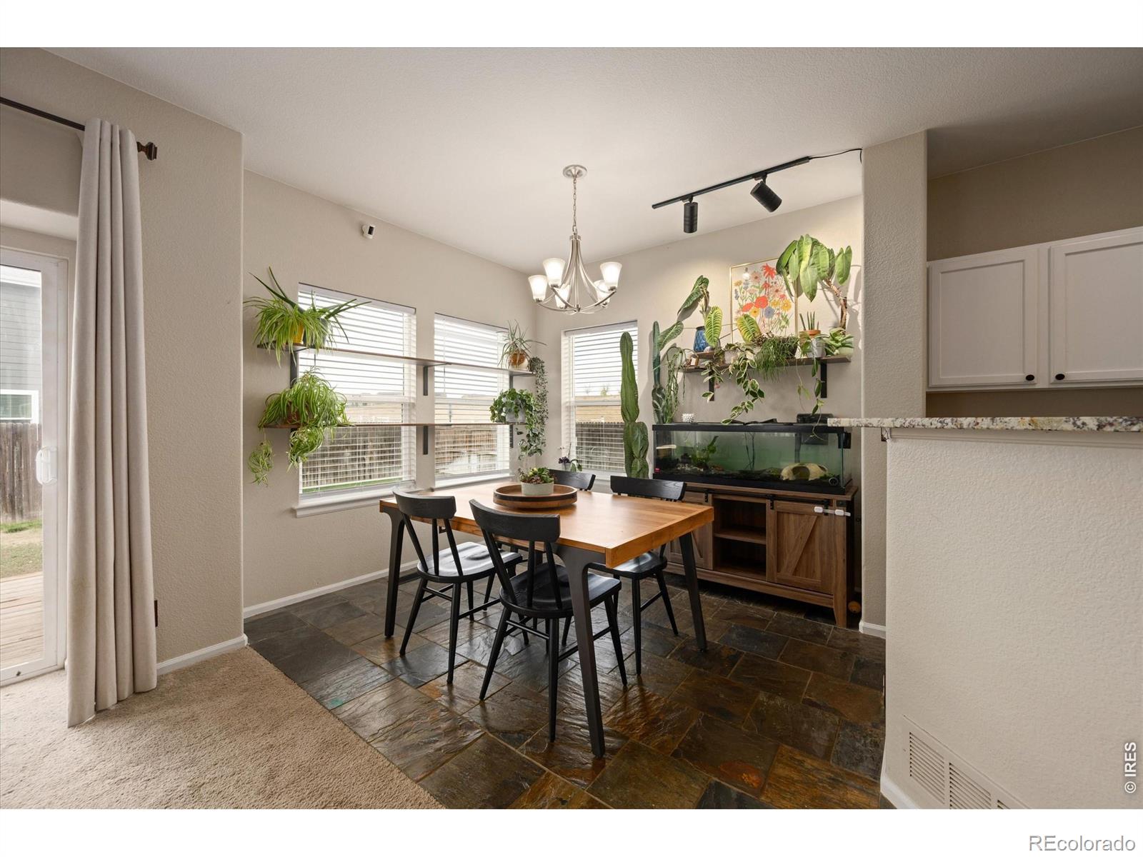 MLS Image #17 for 13993  jersey street,thornton, Colorado
