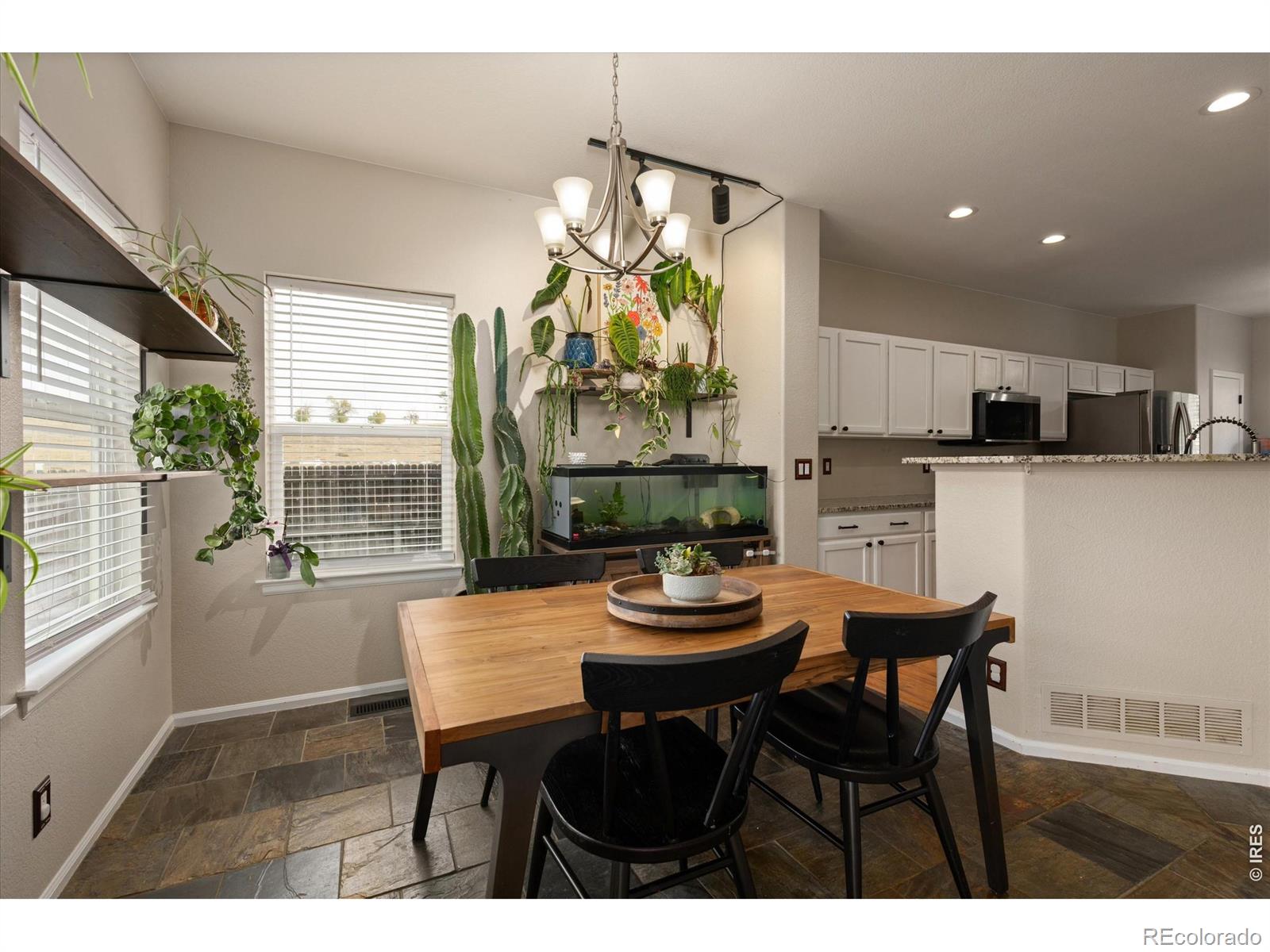 MLS Image #19 for 13993  jersey street,thornton, Colorado