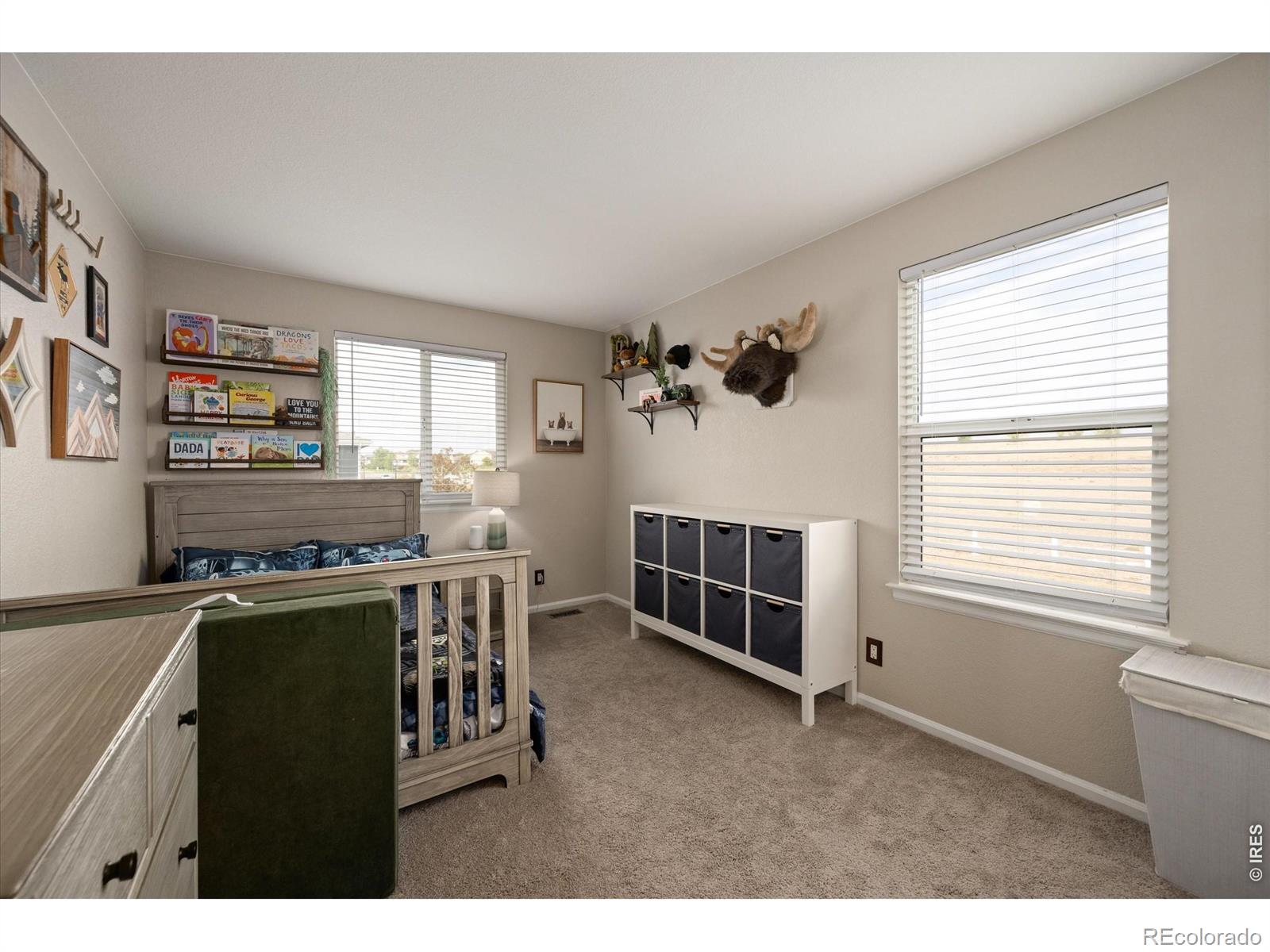 MLS Image #29 for 13993  jersey street,thornton, Colorado