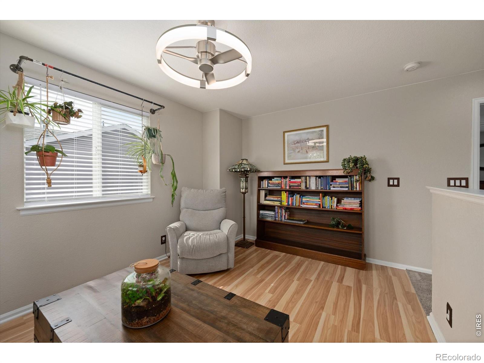 MLS Image #32 for 13993  jersey street,thornton, Colorado