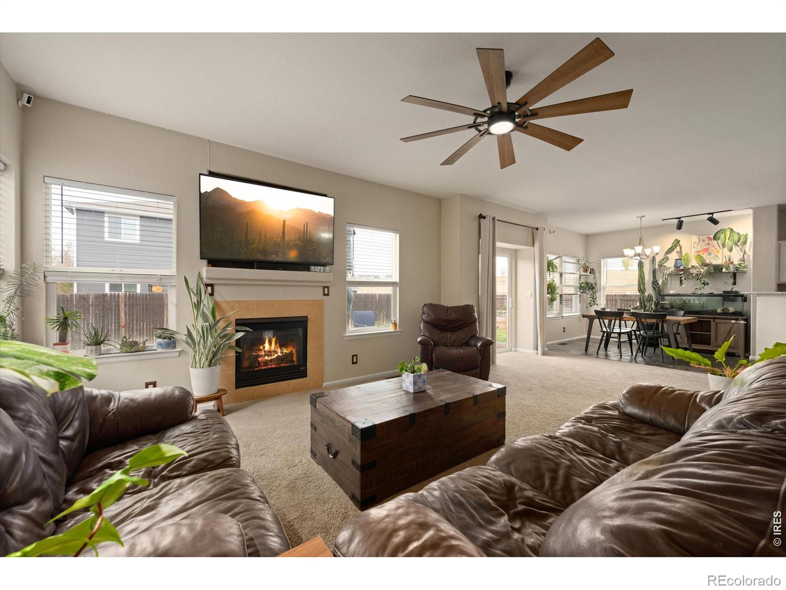 MLS Image #6 for 13993  jersey street,thornton, Colorado