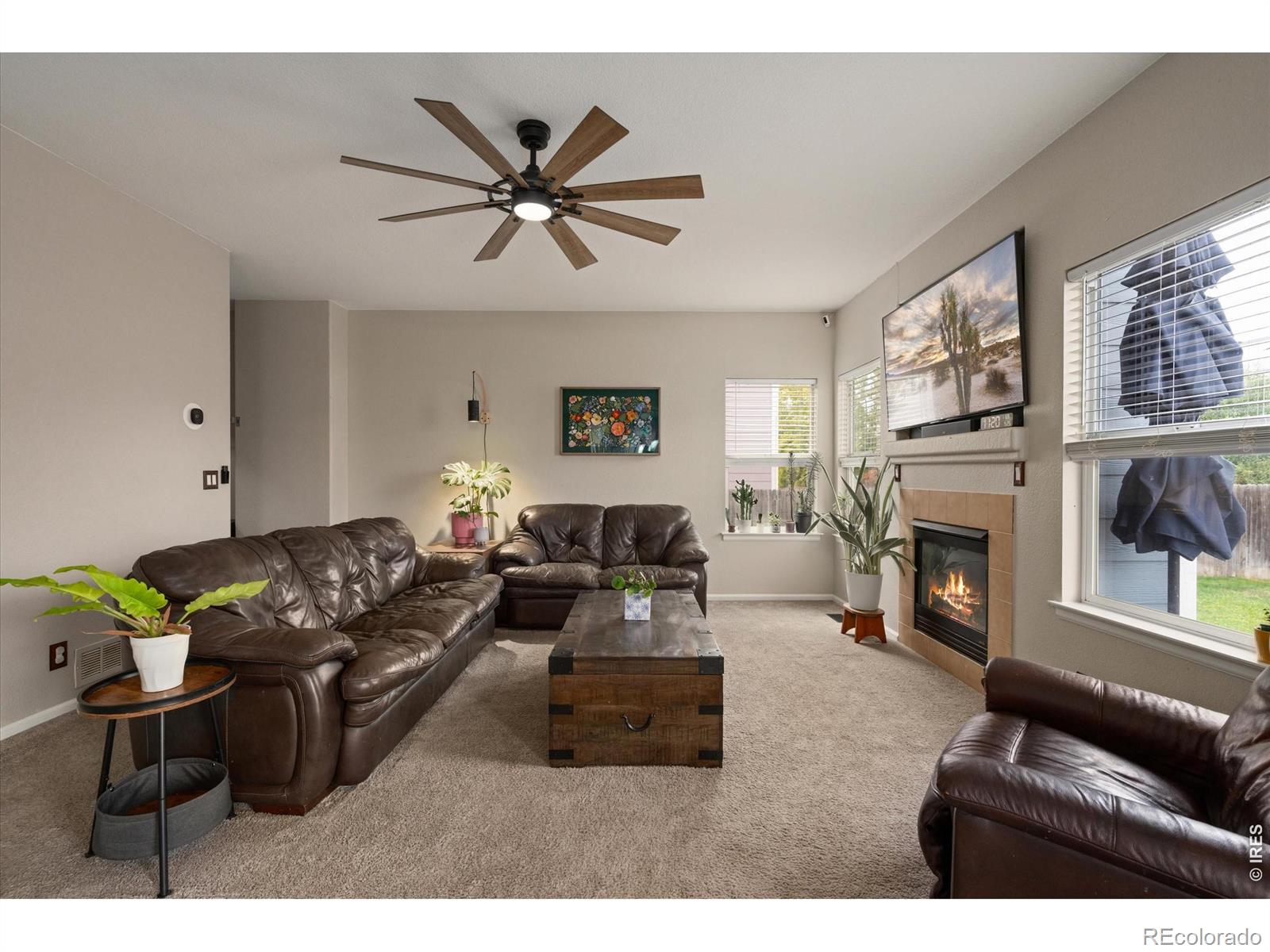 MLS Image #7 for 13993  jersey street,thornton, Colorado