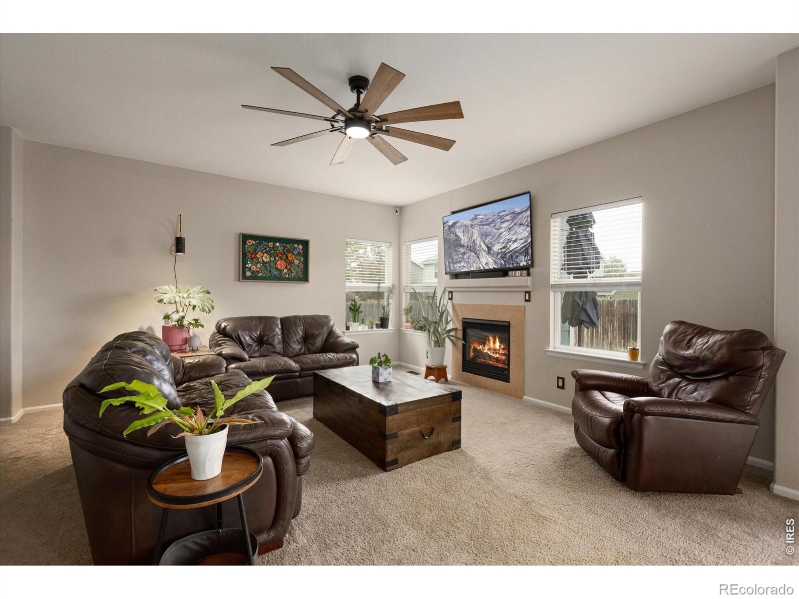 MLS Image #8 for 13993  jersey street,thornton, Colorado