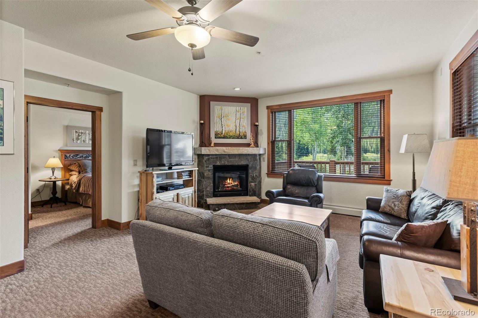 MLS Image #10 for 108  hawk circle,keystone, Colorado