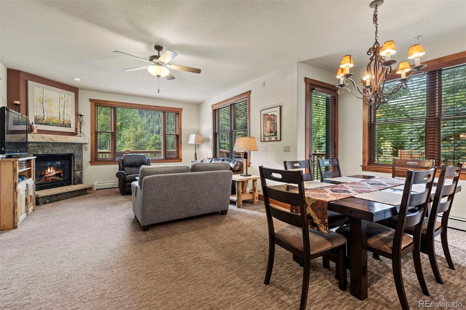 MLS Image #12 for 108  hawk circle,keystone, Colorado