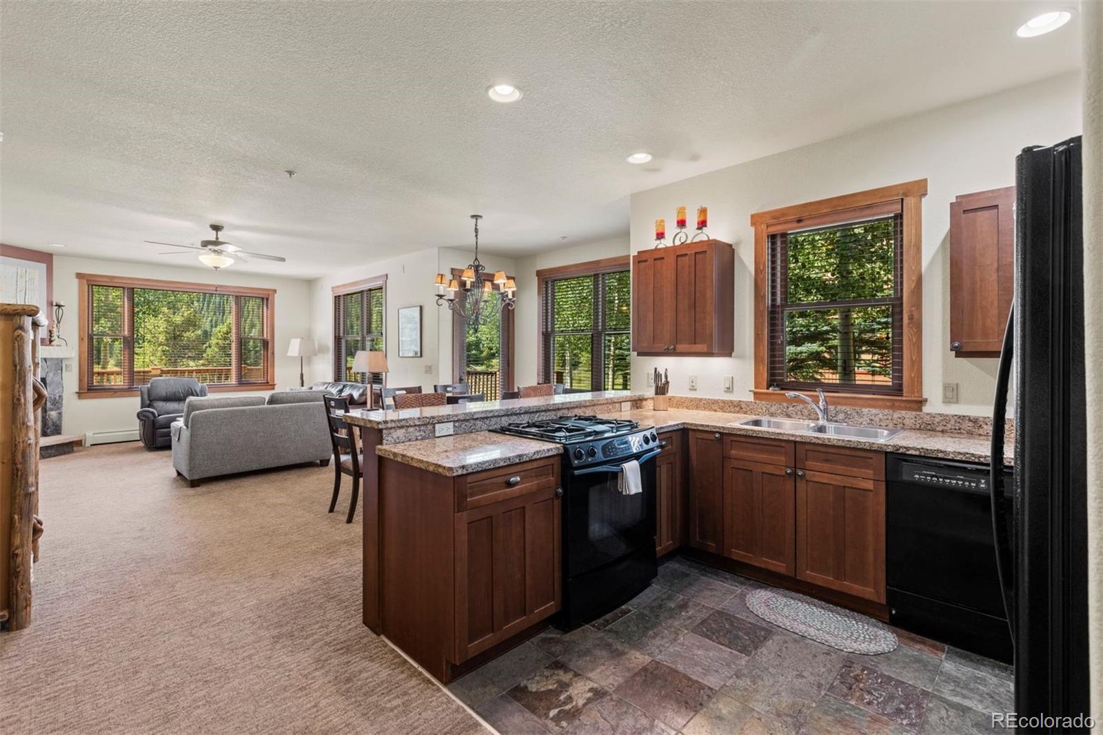 MLS Image #15 for 108  hawk circle,keystone, Colorado