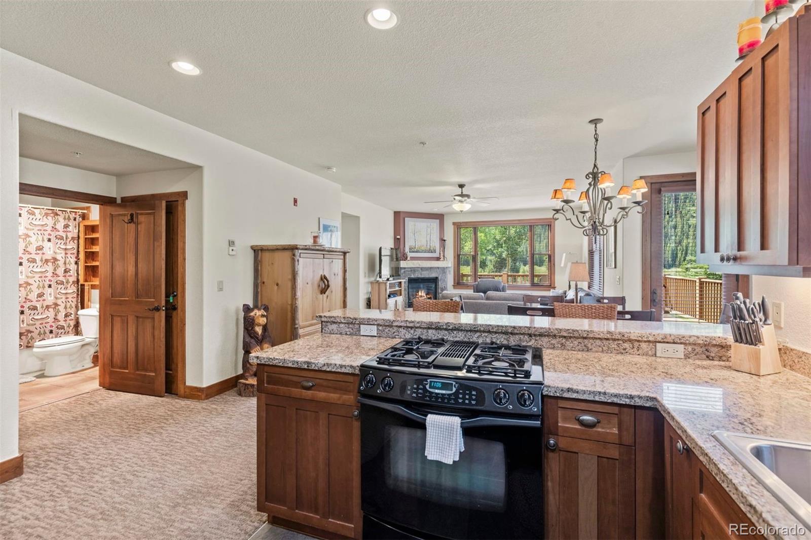 MLS Image #19 for 108  hawk circle,keystone, Colorado