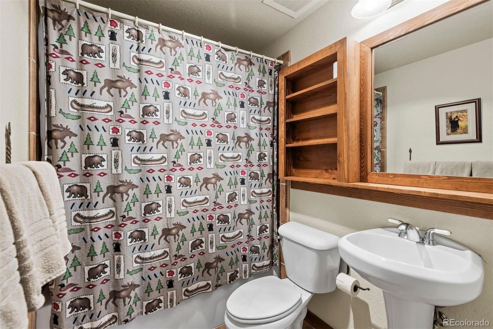 MLS Image #20 for 108  hawk circle,keystone, Colorado