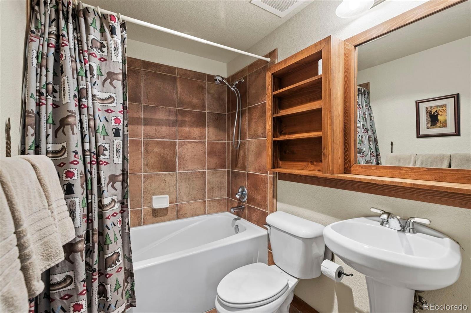 MLS Image #21 for 108  hawk circle,keystone, Colorado