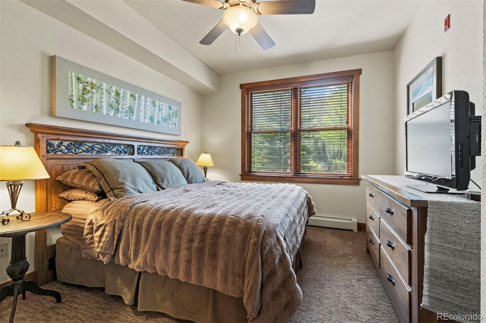 MLS Image #28 for 108  hawk circle,keystone, Colorado