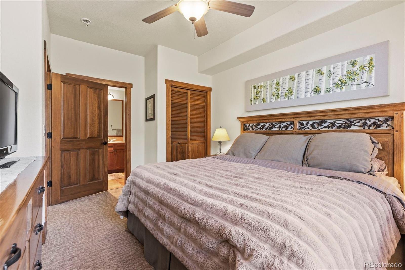 MLS Image #29 for 108  hawk circle,keystone, Colorado