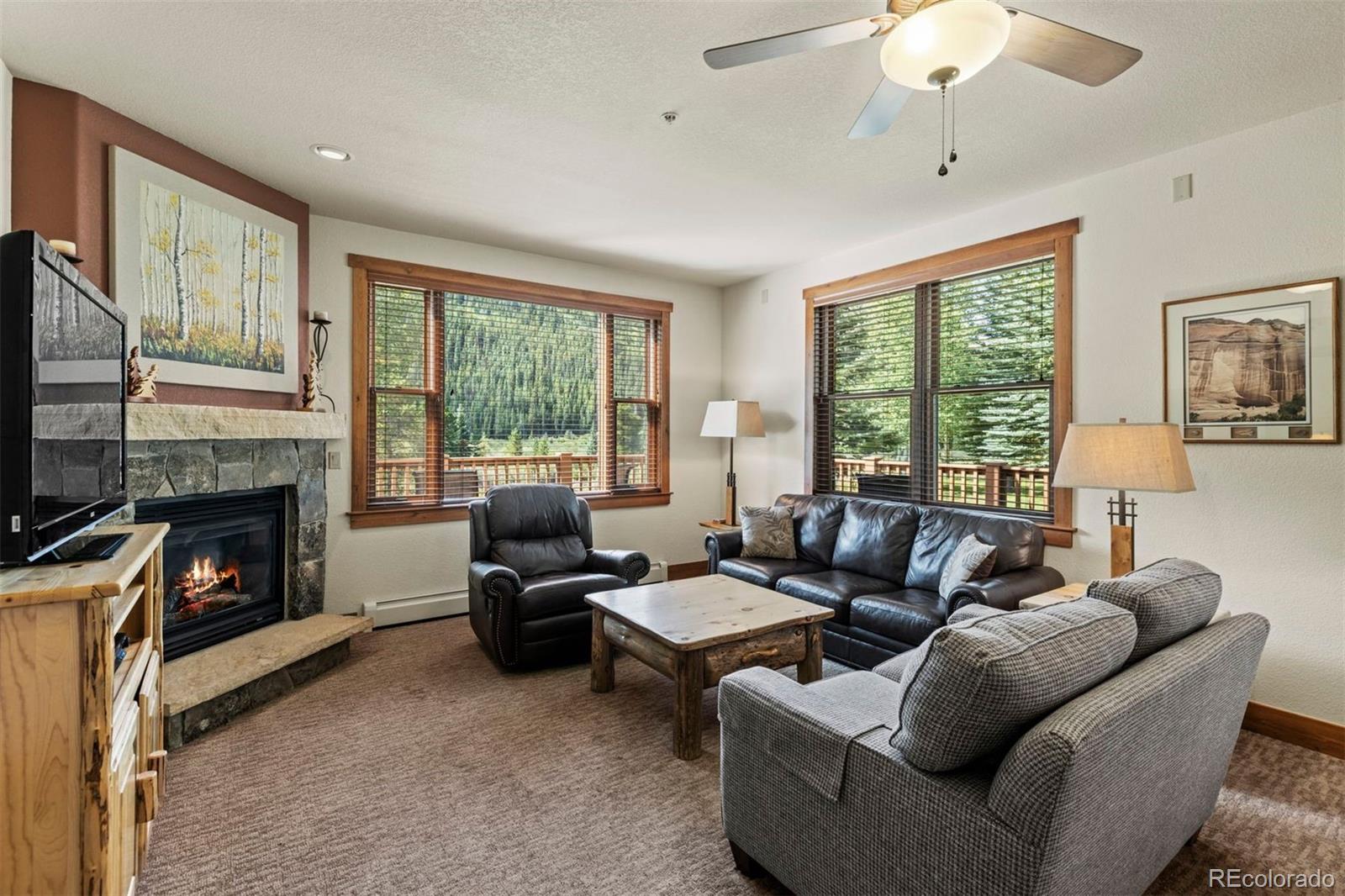 MLS Image #6 for 108  hawk circle,keystone, Colorado