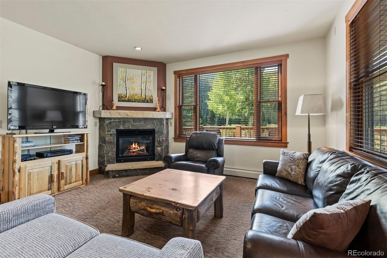 MLS Image #9 for 108  hawk circle,keystone, Colorado