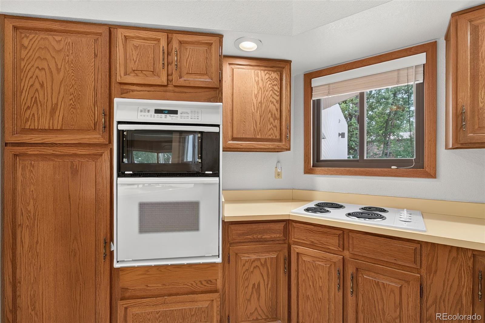 MLS Image #11 for 102  creekside lane,colorado springs, Colorado