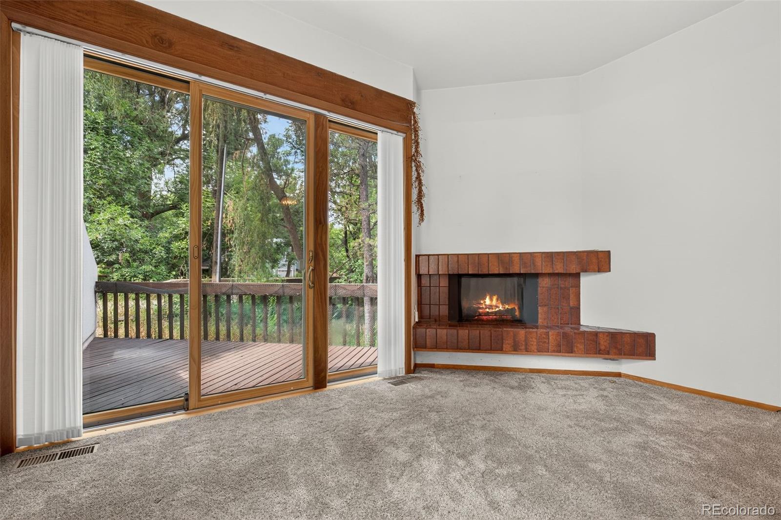 MLS Image #12 for 102  creekside lane,colorado springs, Colorado