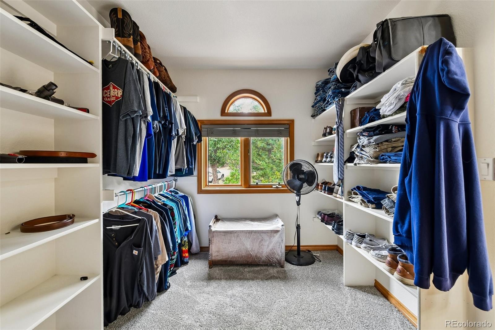 MLS Image #14 for 6252 s king drive,evergreen, Colorado