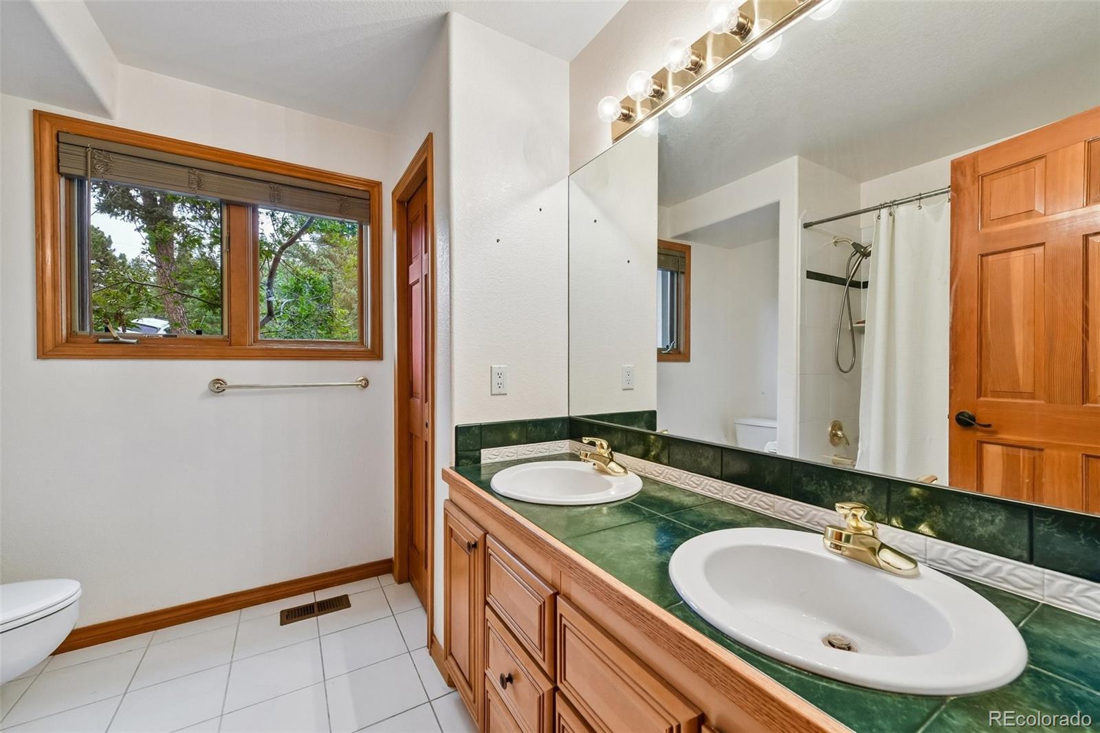 MLS Image #17 for 6252 s king drive,evergreen, Colorado