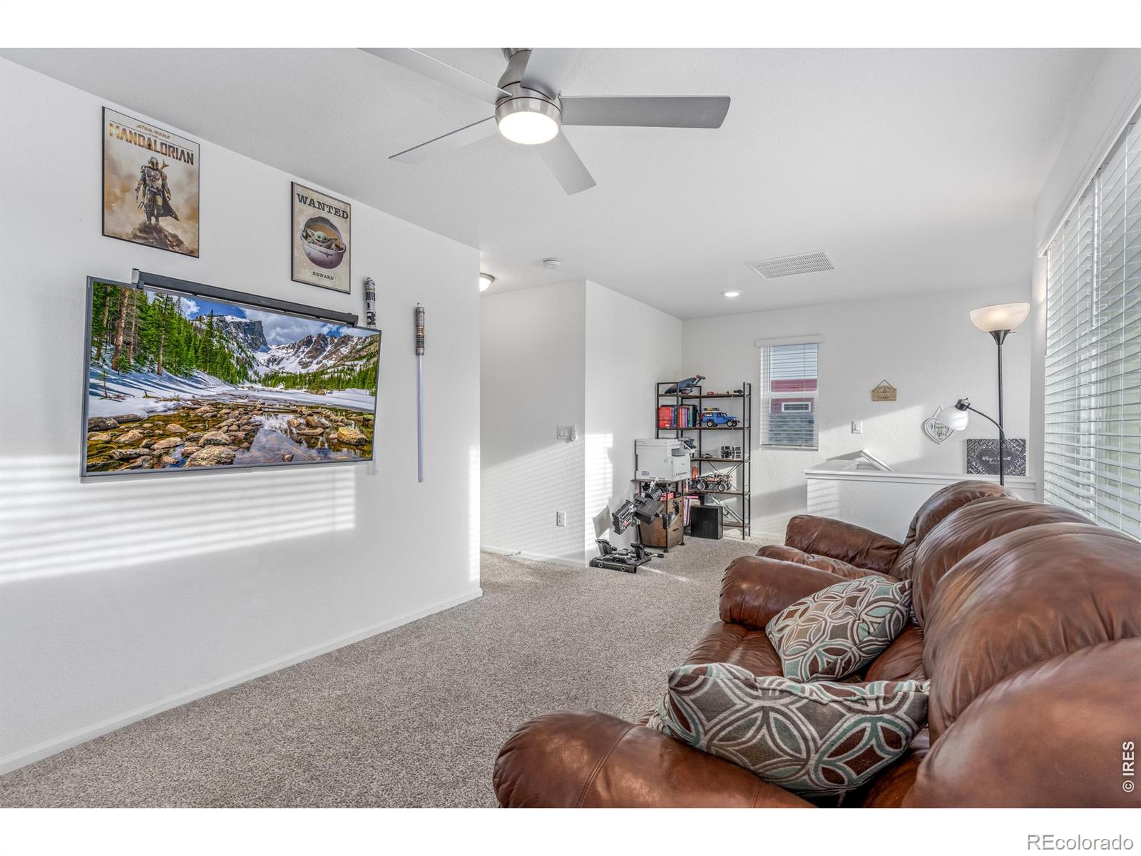 MLS Image #26 for 13410 e 103rd avenue,commerce city, Colorado
