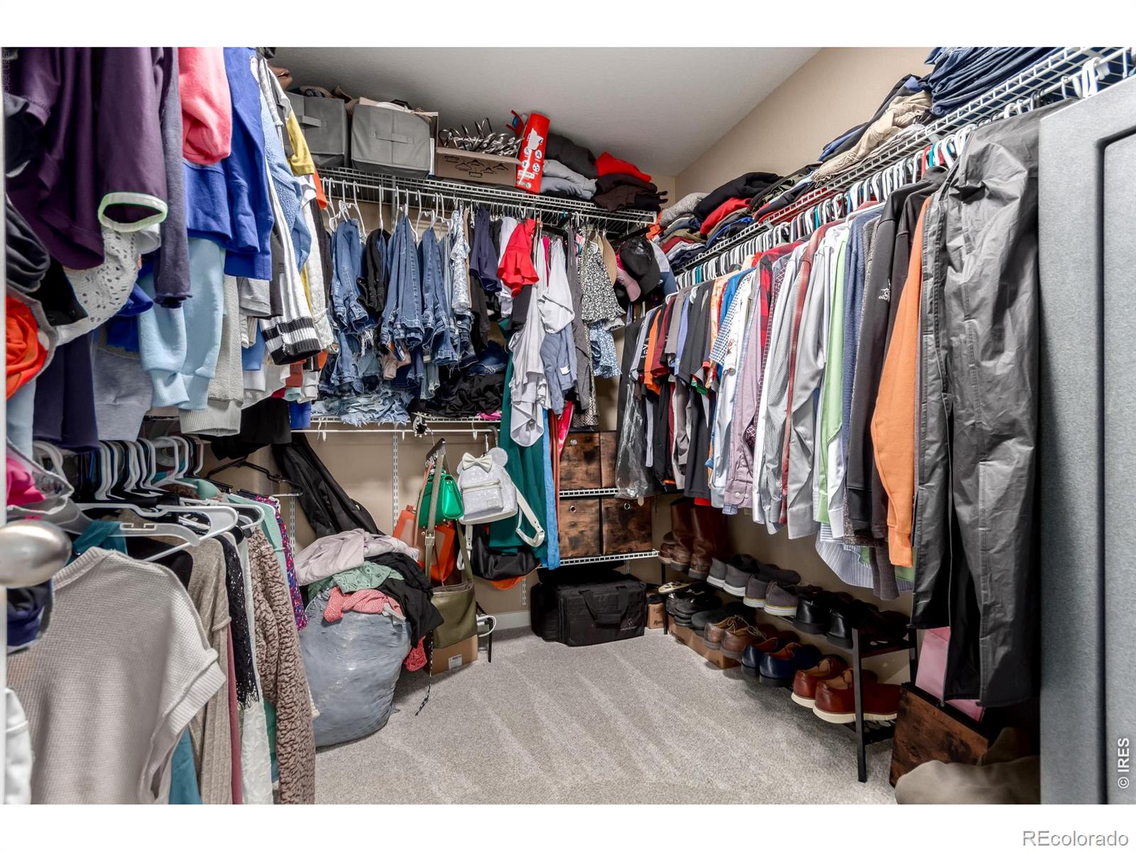 MLS Image #22 for 7132  bandit drive,castle rock, Colorado